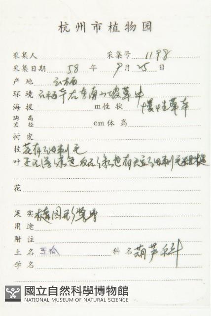 王瓜藏品圖，第2張