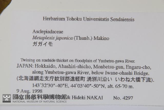 蘿藦藏品圖，第2張