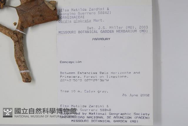 登錄號:S101054藏品圖，第2張