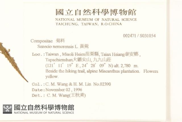 黃菀藏品圖，第2張