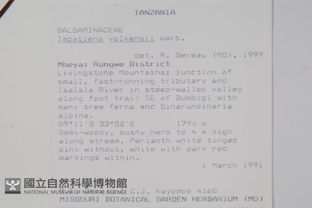 登錄號:S094054藏品圖，第2張