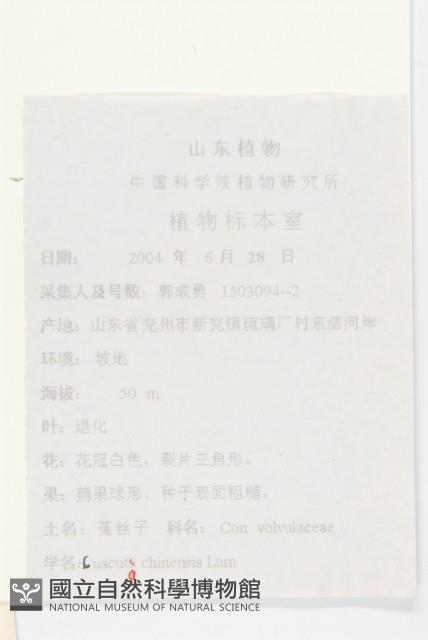 中國菟絲子藏品圖，第2張