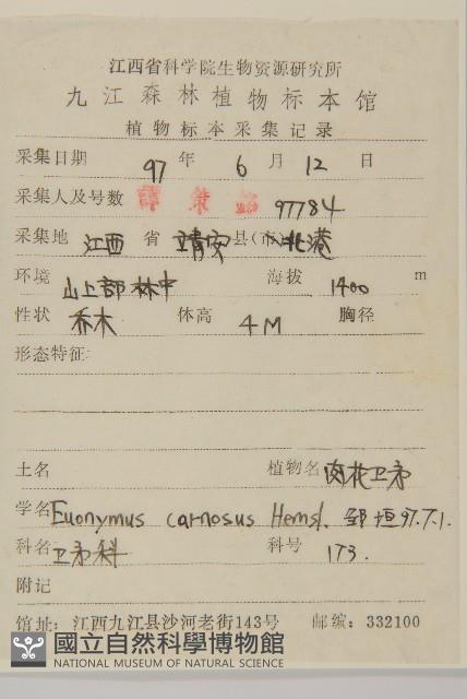 Genichi Euonymus Collection Image, Figure 2, Total 2 Figures