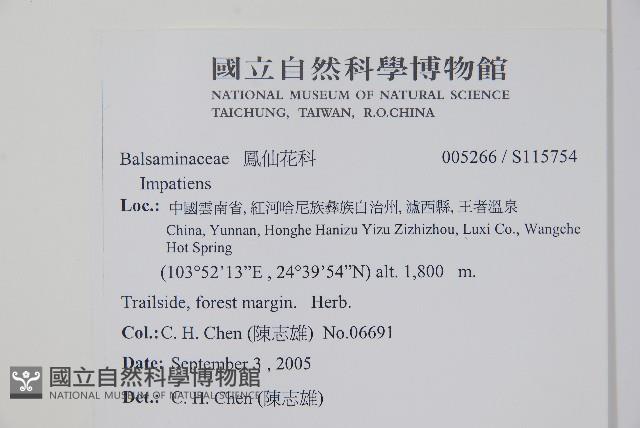 登錄號:S115754藏品圖，第2張