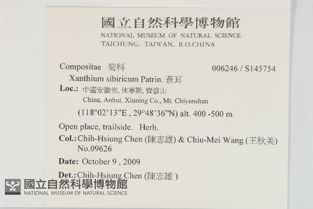 蒼耳藏品圖，第2張