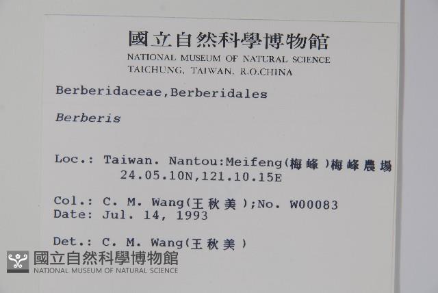 日本小檗藏品圖，第2張