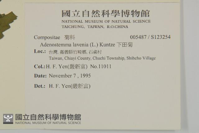 下田菊藏品圖，第2張