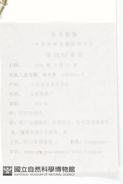 阿爾泰狗哇花藏品圖，第2張