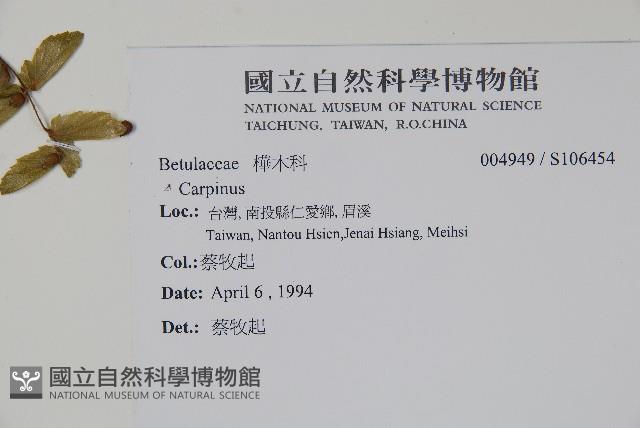 登錄號:S106454藏品圖，第2張