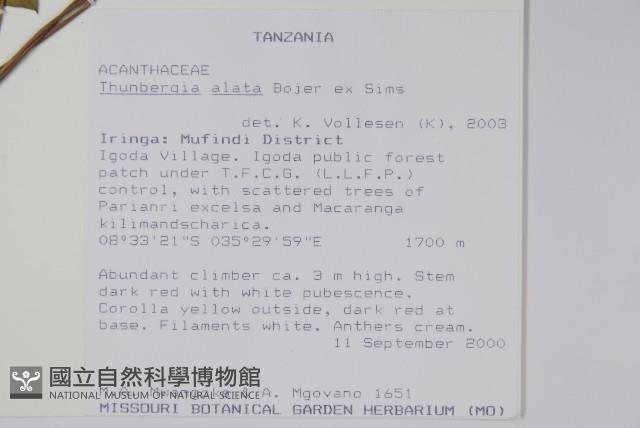 黑眼花藏品圖，第2張