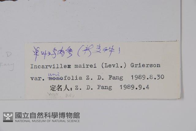 登錄號:S022454藏品圖，第2張