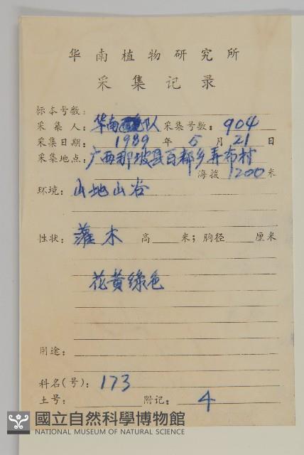 刺果衛矛藏品圖，第2張