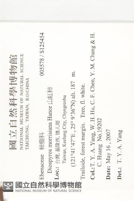 山紅柿藏品圖，第2張