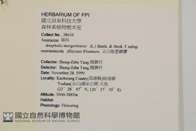 玉山抱莖籟簫藏品圖，第2張