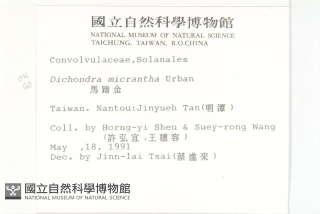 馬蹄金藏品圖，第2張