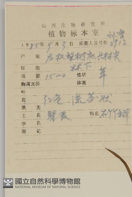 瞿麥藏品圖，第2張