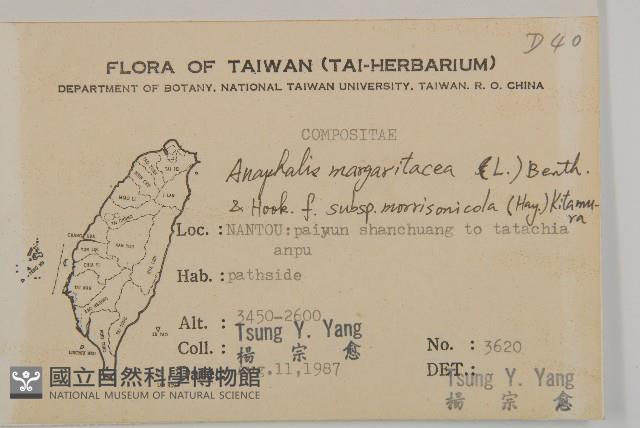 玉山抱莖籟簫藏品圖，第2張