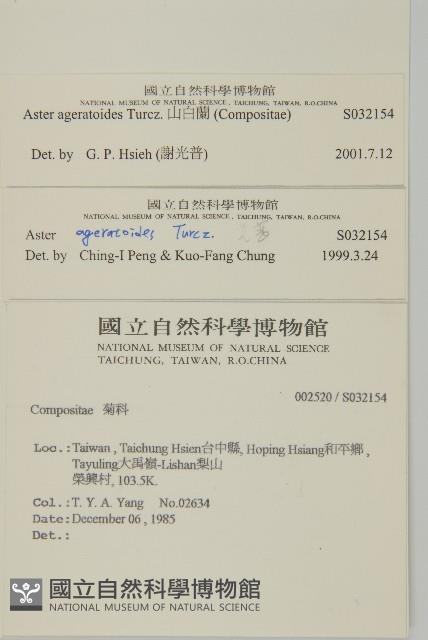 山白蘭藏品圖，第2張