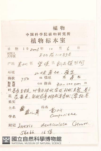 苦實菜藏品圖，第2張