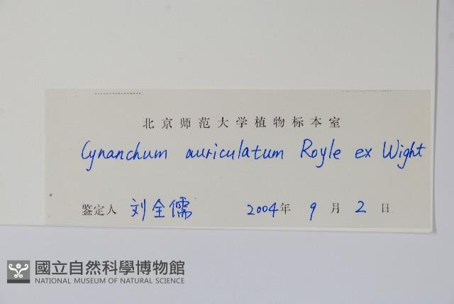 牛皮消藏品圖，第2張