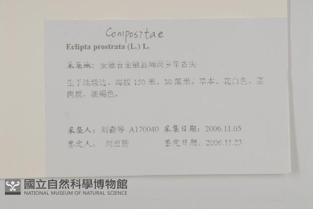 鱧腸藏品圖，第2張