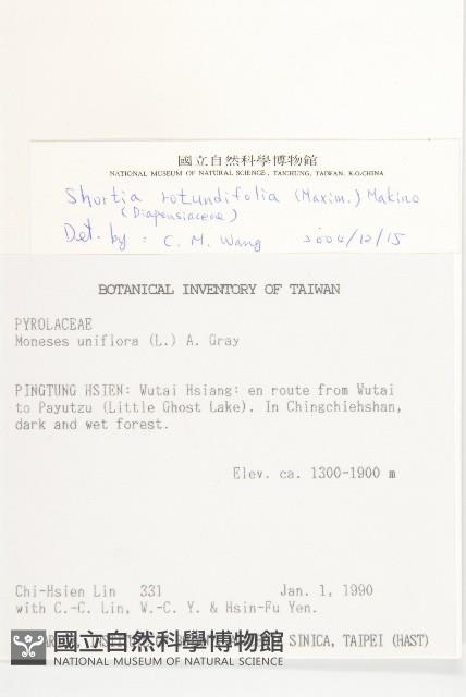 倒卵葉裂緣花藏品圖，第2張