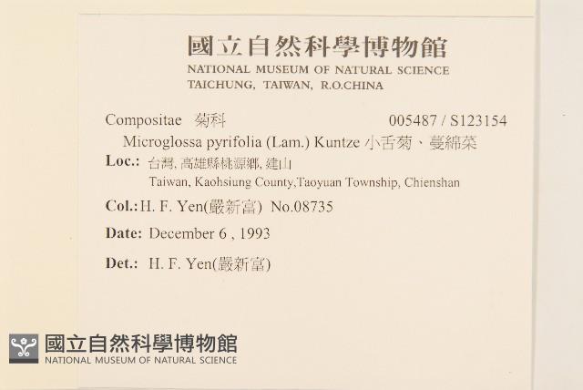 小舌菊、蔓綿菜藏品圖，第2張