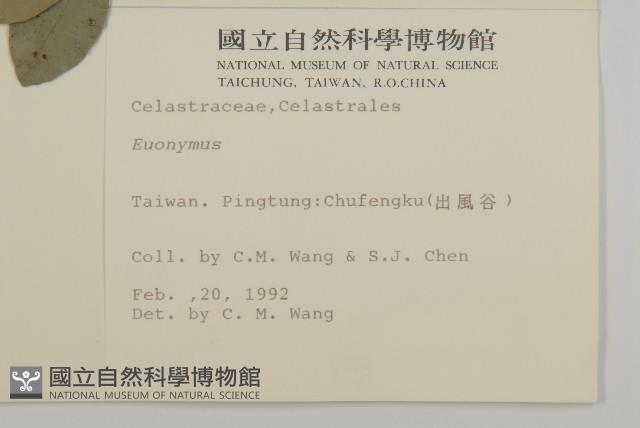 登錄號:S007154藏品圖，第2張