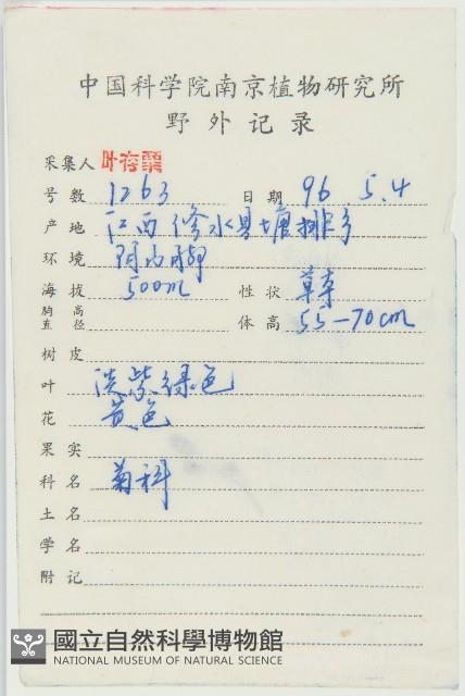 黃鵪菜藏品圖，第2張