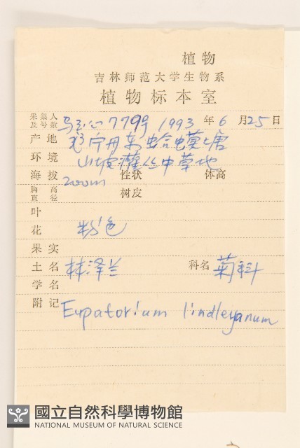 林氏澤蘭藏品圖，第2張
