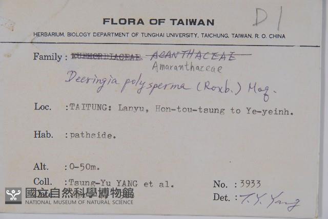 多子漿果莧藏品圖，第2張