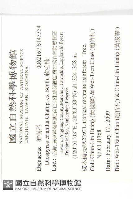 軟毛柿藏品圖，第2張