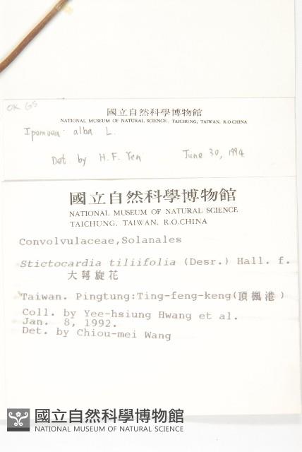 天茄兒藏品圖，第2張