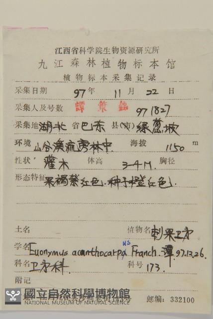 刺果衛矛藏品圖，第2張