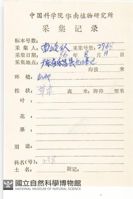 歐亞旋覆花藏品圖，第2張