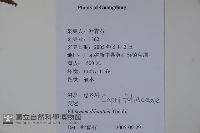 莢迷藏品圖，第2張