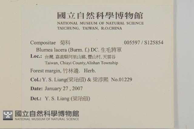 生毛將軍藏品圖，第2張