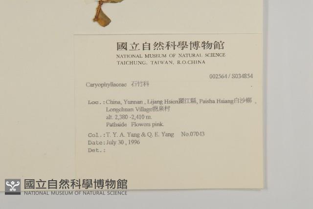 登錄號:S034854藏品圖，第2張