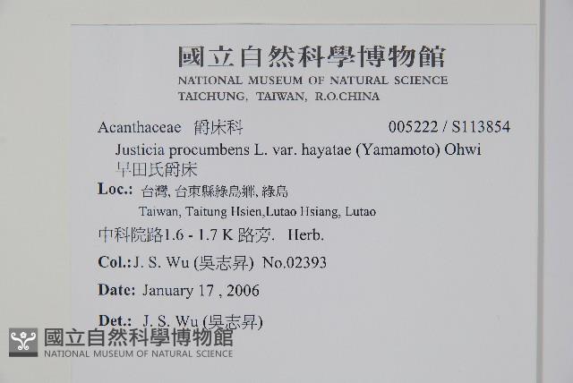 早田氏爵床藏品圖，第2張