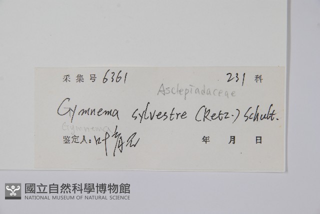 武靴藤藏品圖，第2張