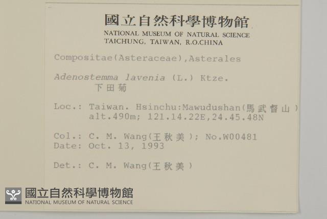 下田菊藏品圖，第2張