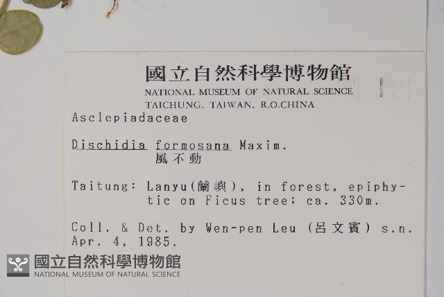 風不動藏品圖，第2張