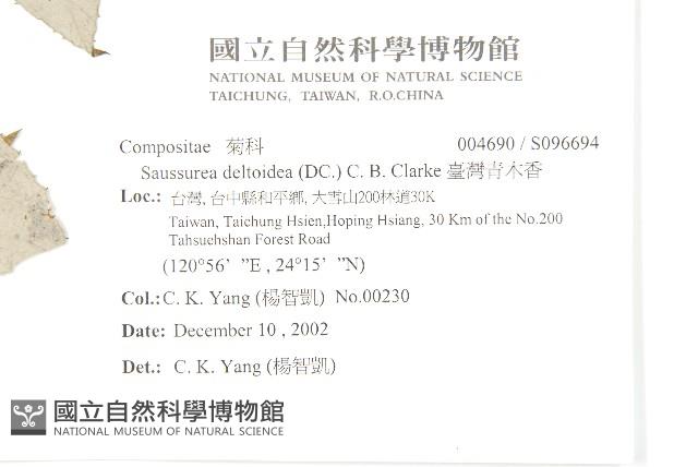 臺灣青木香藏品圖，第2張