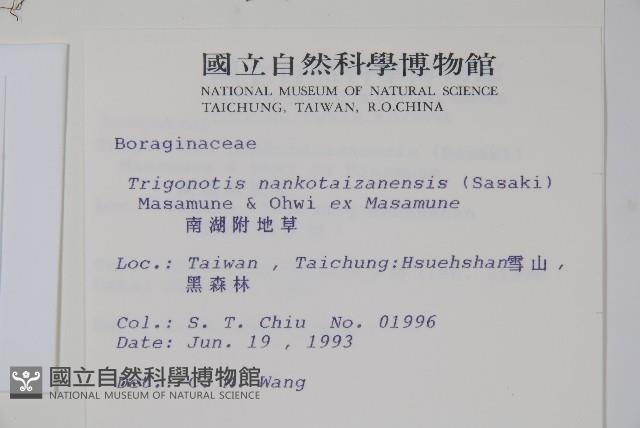 南湖附地草藏品圖，第2張