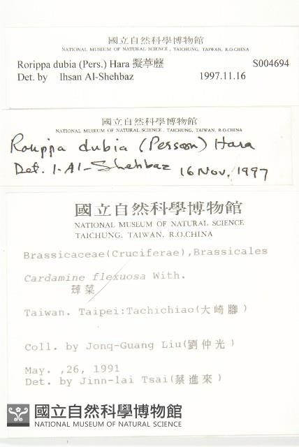 小葶藶藏品圖，第2張