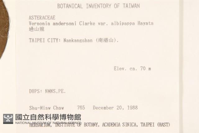 過山龍藏品圖，第2張