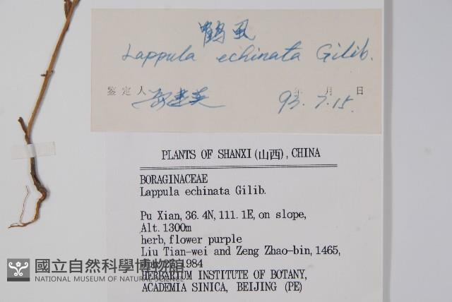 鶴蝨藏品圖，第2張