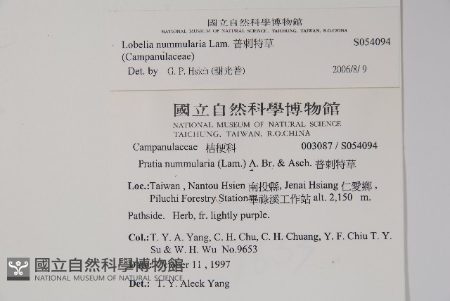 普刺特草藏品圖，第2張