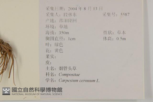 杓兒菜藏品圖，第2張