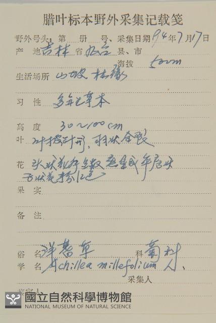 洋蓍草、千葉蓍藏品圖，第2張